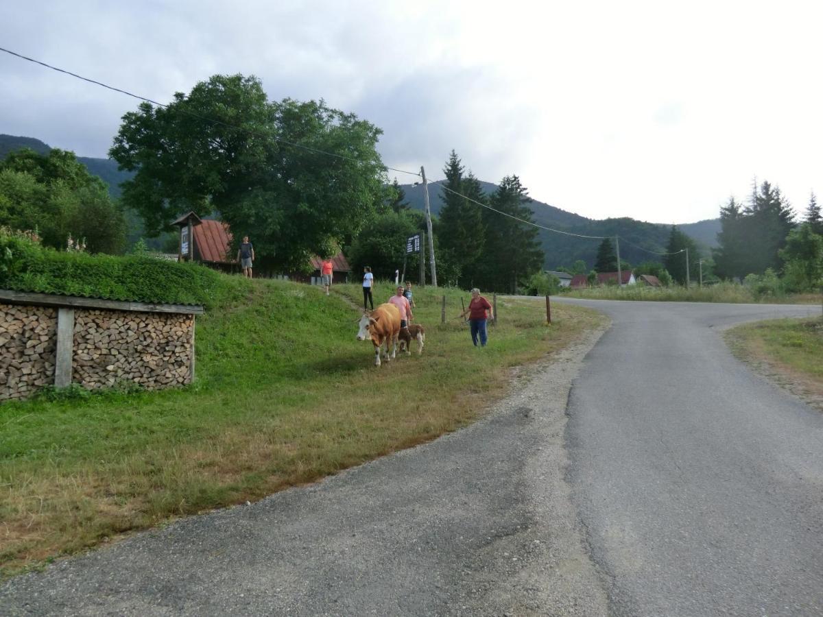 Ethno House Izvor Hotel Vrelo Korenicko Bagian luar foto