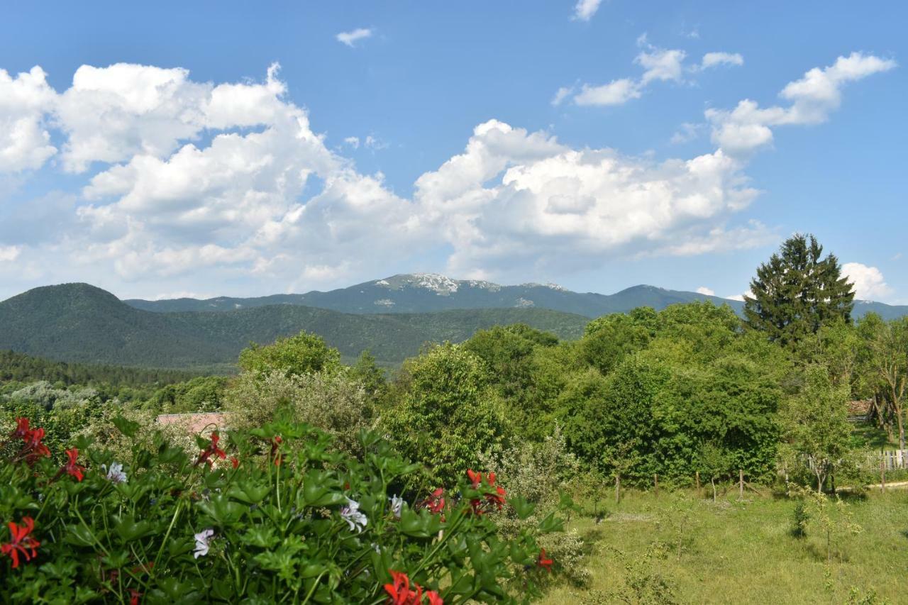 Ethno House Izvor Hotel Vrelo Korenicko Bagian luar foto